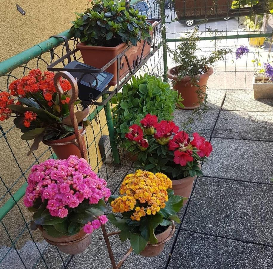 Alloggio Con Idromassaggio E Super Vista Nave San Felice Kültér fotó